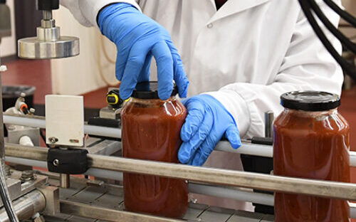Gloved hands on a bottling assembly line.
